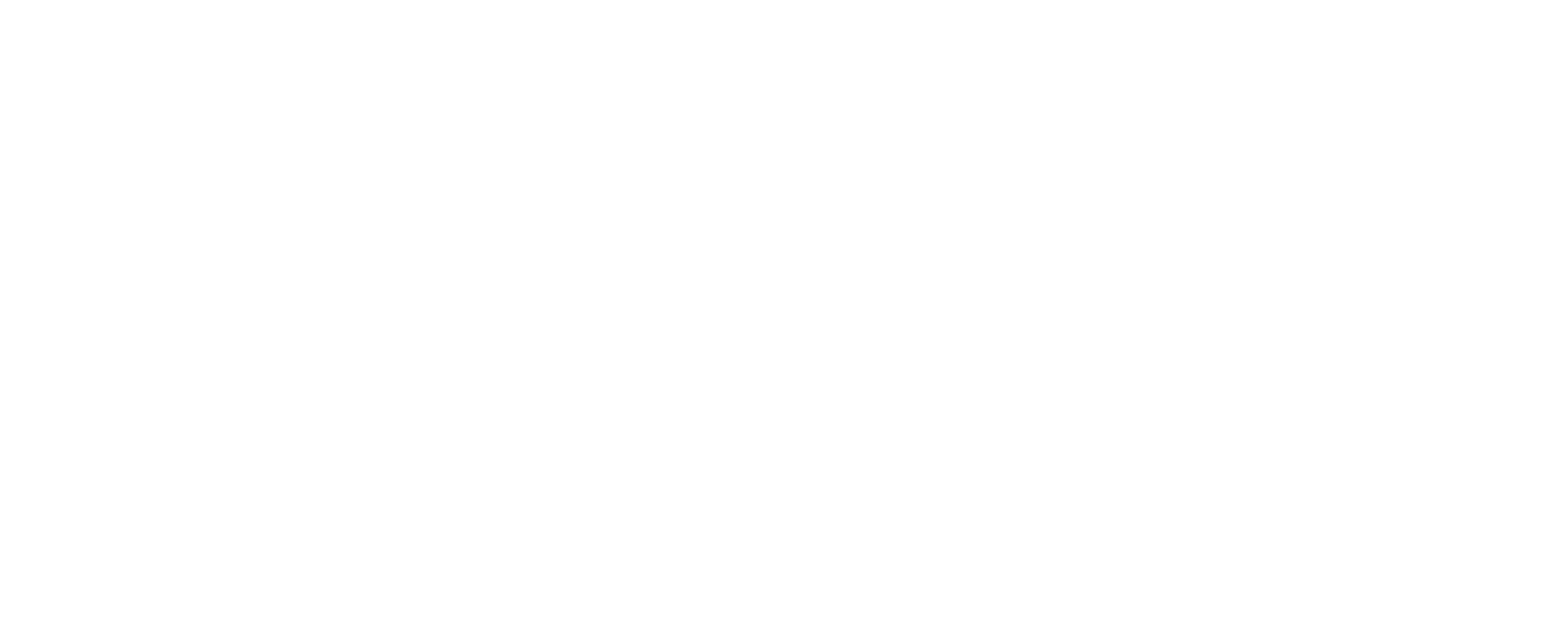 LOGO PRINCIPALE - negativo