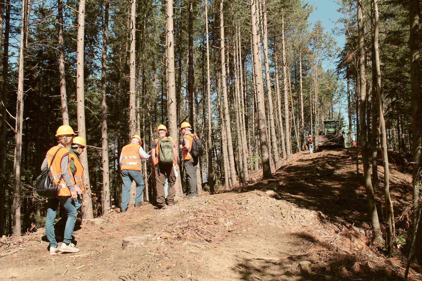 Gruppo di persone in un bosco di pini durante un'attività formativa