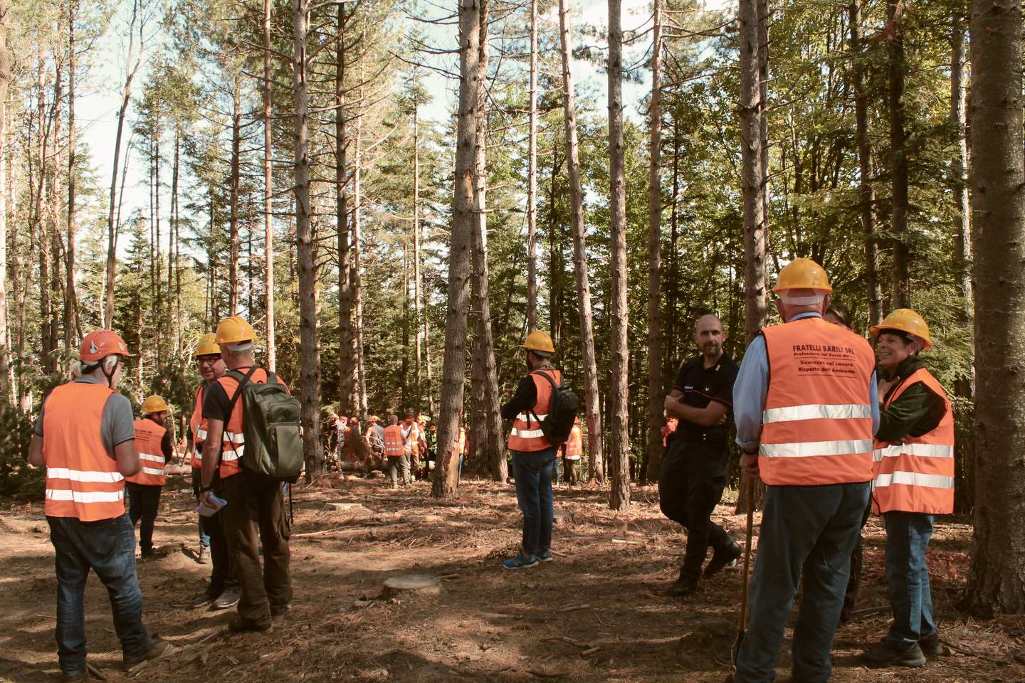 Squadra di operatori con giubbotti ad alta visibilità in un bosco di pini